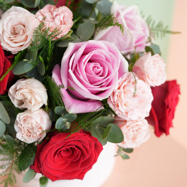 Valentine 12 Red & Pink Rose Hatbox