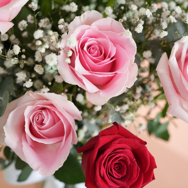 La Vie En Rouge & Rose