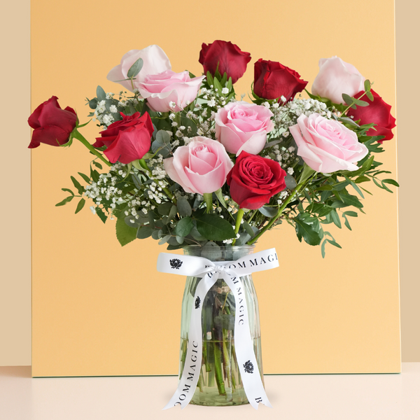 Valentine 12 Red & Pink Rose Vase