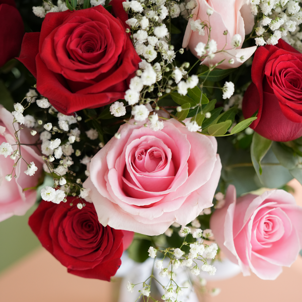 Valentine 24 Red & Pink Rose Vase