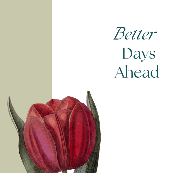 New Occasion Card