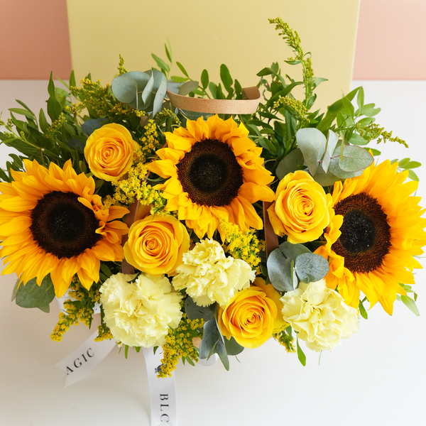 Fleurs Sunflower