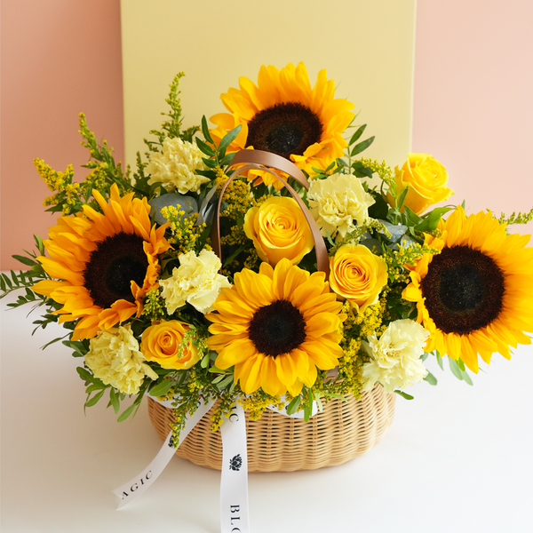 Fleurs Sunflower