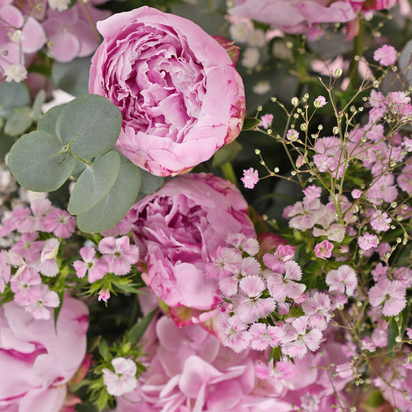 Grand Pink Peony Fab