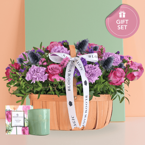 lavender plant mother's day Mother's Day Lavender Les Fleurs Sauvages - Gift Set | IE Delivery