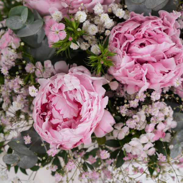 Pink Peony Fleurs