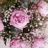 thumbnail-8985441042764}