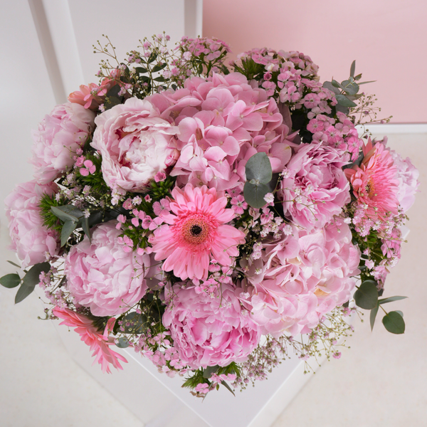 Pink Peony d'Amour