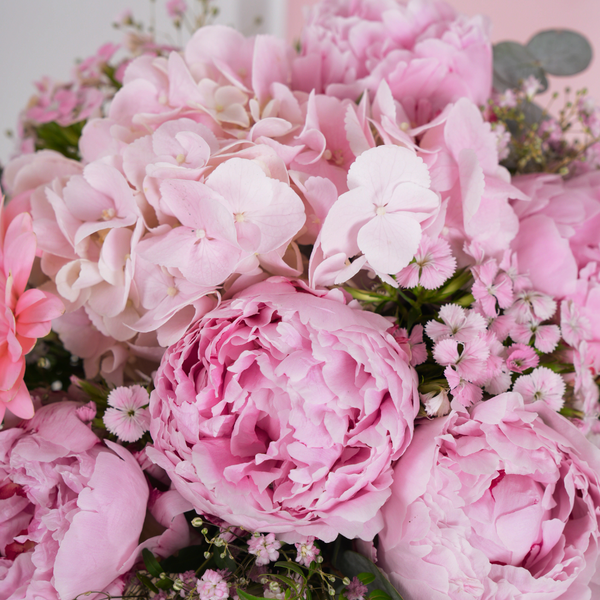Pink Peony d'Amour