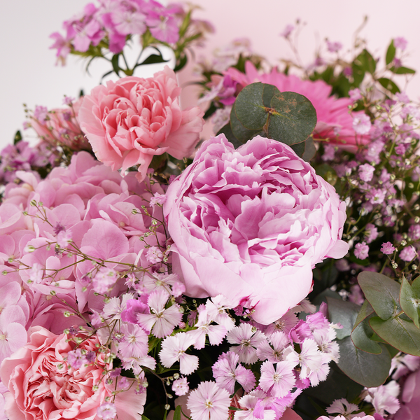 Pink Peony d'Amour