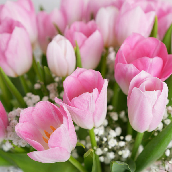 Valentine Pink Tulip Delight