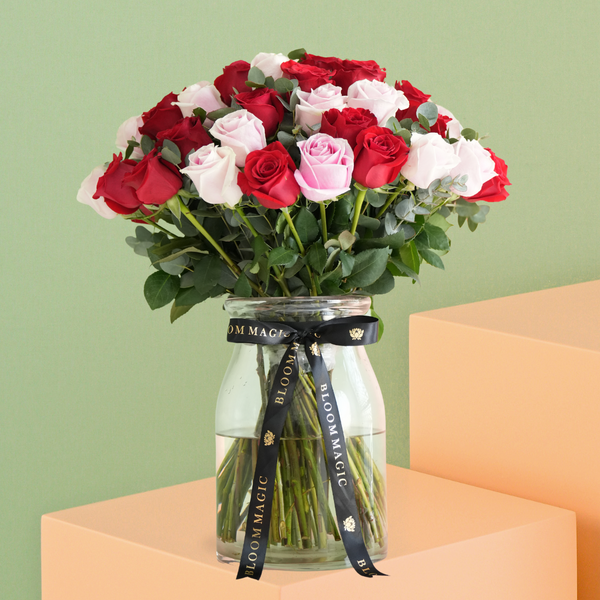 Valentine Magnificat 50 Red & Pink Rose