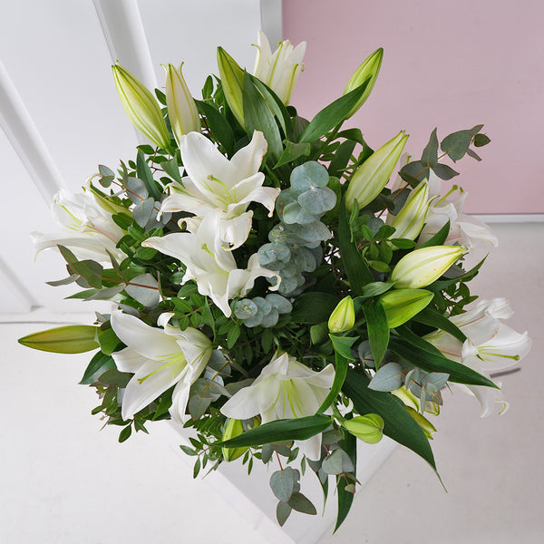 White Lily