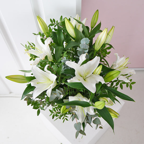 White Lily