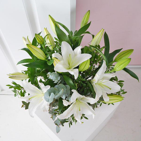 White Lily