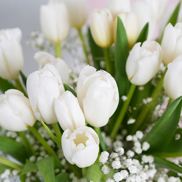 Valentine White Tulip Delight