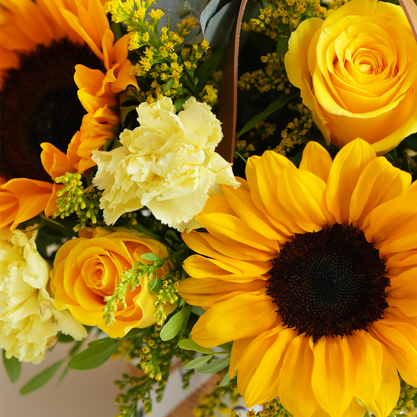Fleurs Sunflower