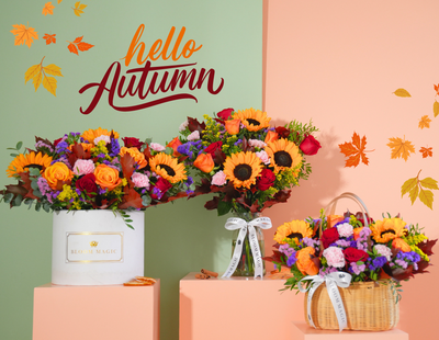 Best Flowers to Gift in Autumn