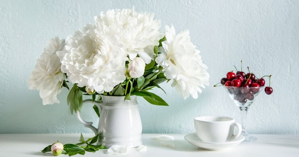 The Language of Peonies: Symbolism and Meanings of Peony Flower Colours