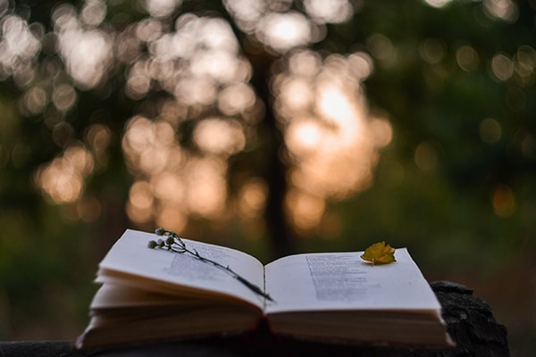 16 Sweet Verses to Accompany Spring Flowers