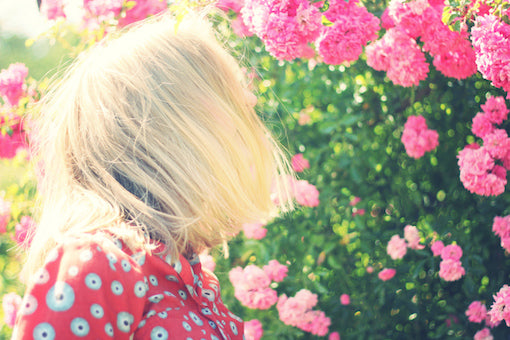 Top 4 Reasons to Visit Bloom in the Park