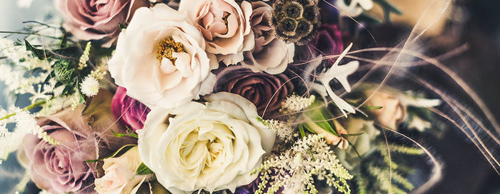 Seasonal flowers and filler stems in October: ideas for this fall