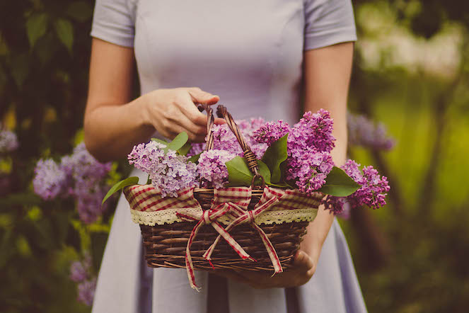 Ah-Choo! A Simple Guide to Choosing Flowers for the Allergy-Prone