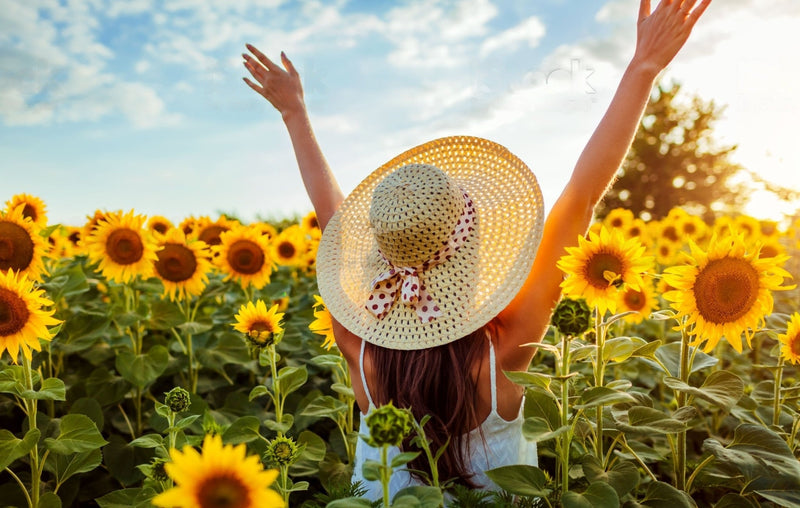 The Language of Summer Blooms: Symbolism and Sentiments