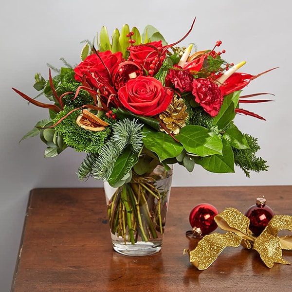 red christmas flowers bloom magic min