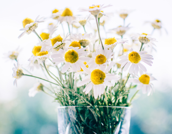 right water for flowers