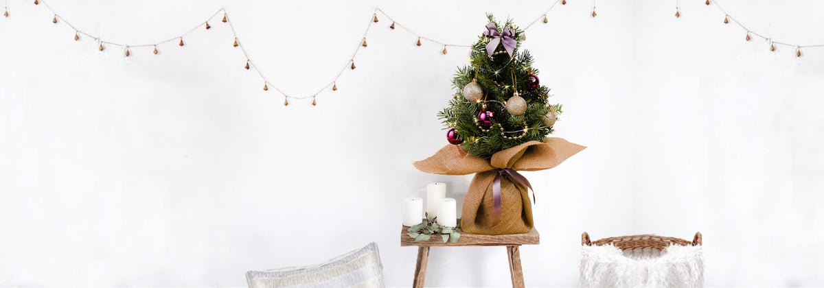 Bloom Magic's Best Christmas Flowers for Christmas 2018