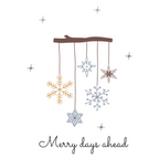 Special Offer Occasion Card