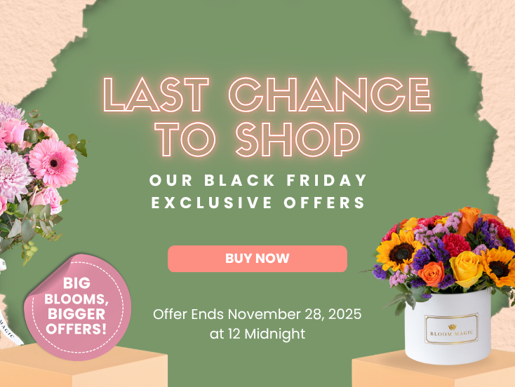 Mobile Fallback Image