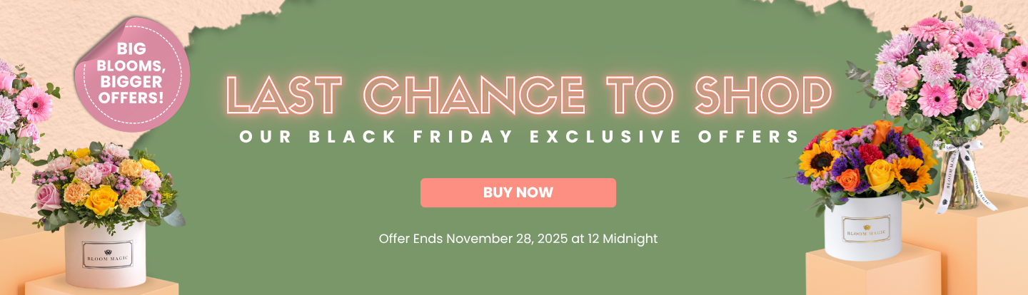 Desktop Fallback Image