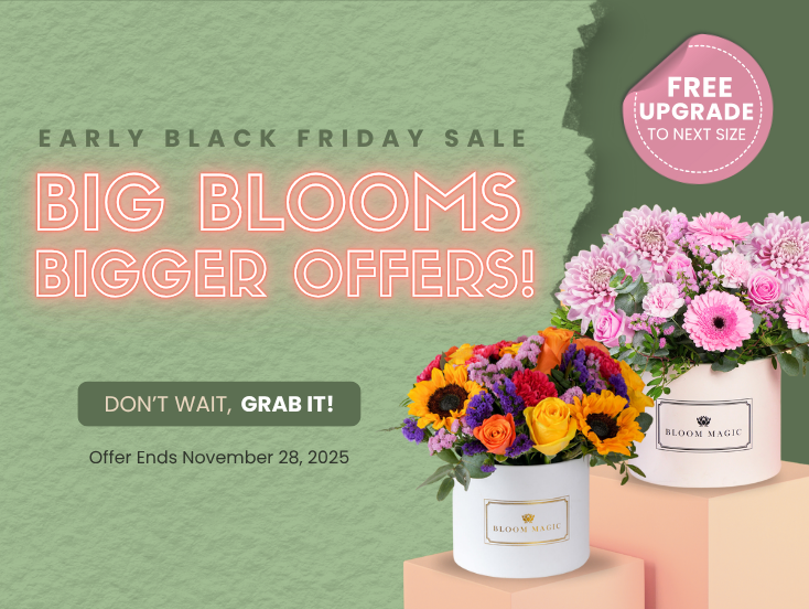 Mobile Fallback Image