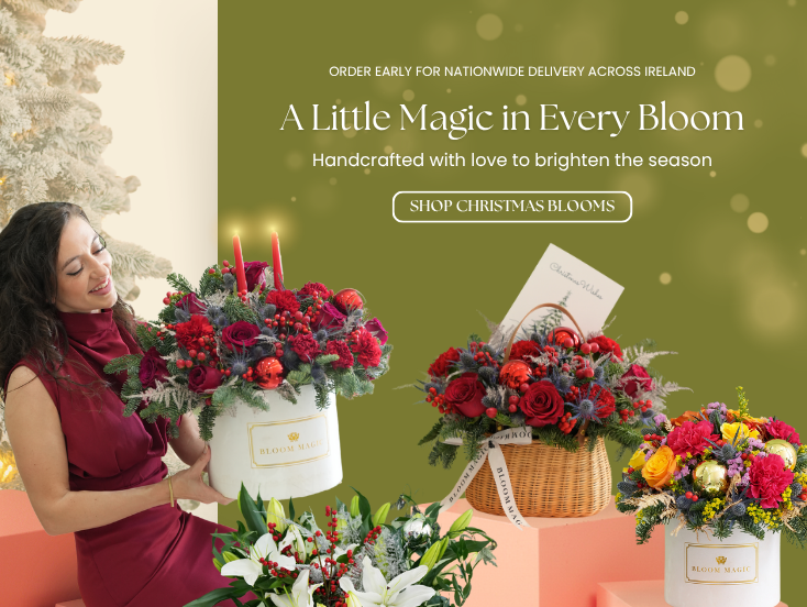 Mobile Fallback Image