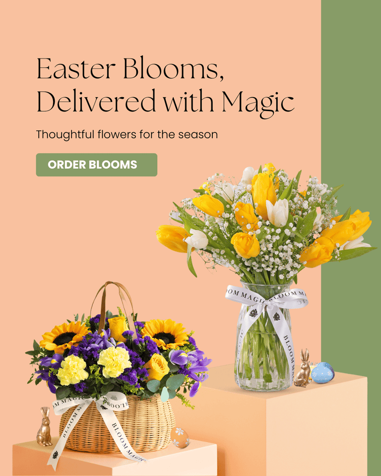 Mobile Fallback Image