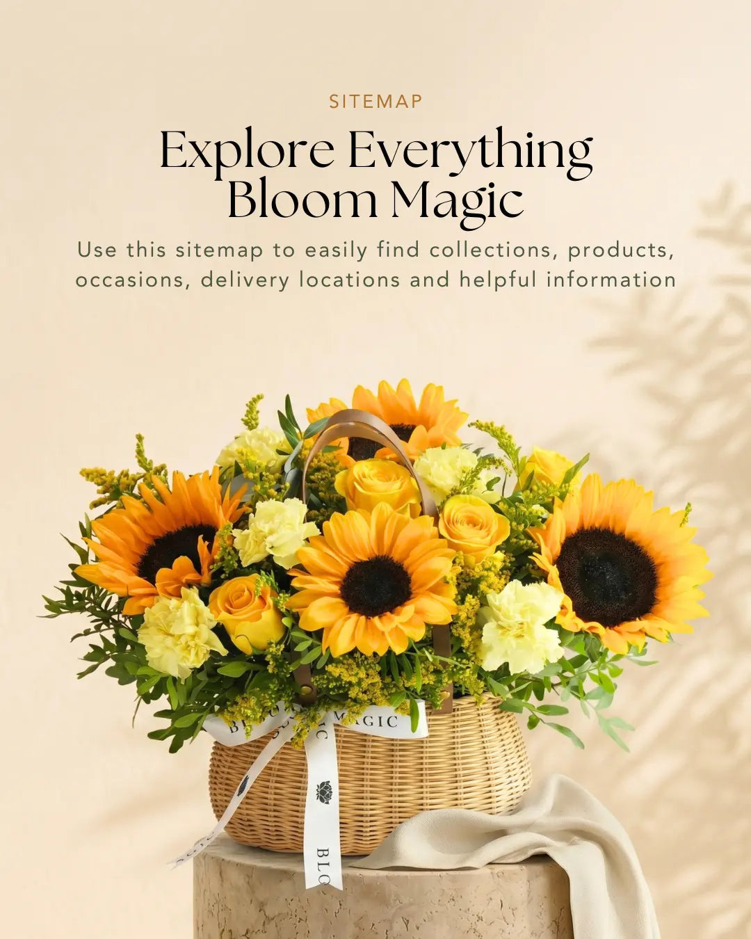 Explore Everything
Bloom Magic
