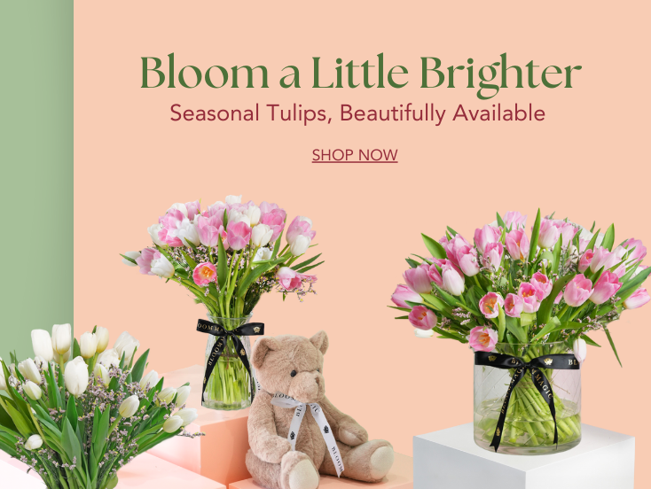 Mobile Fallback Image