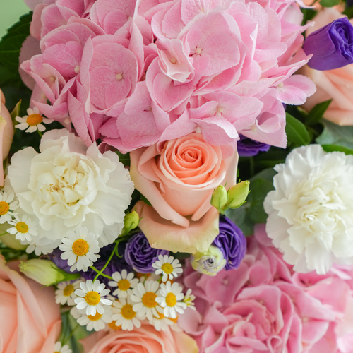 Enchanted Fleurs