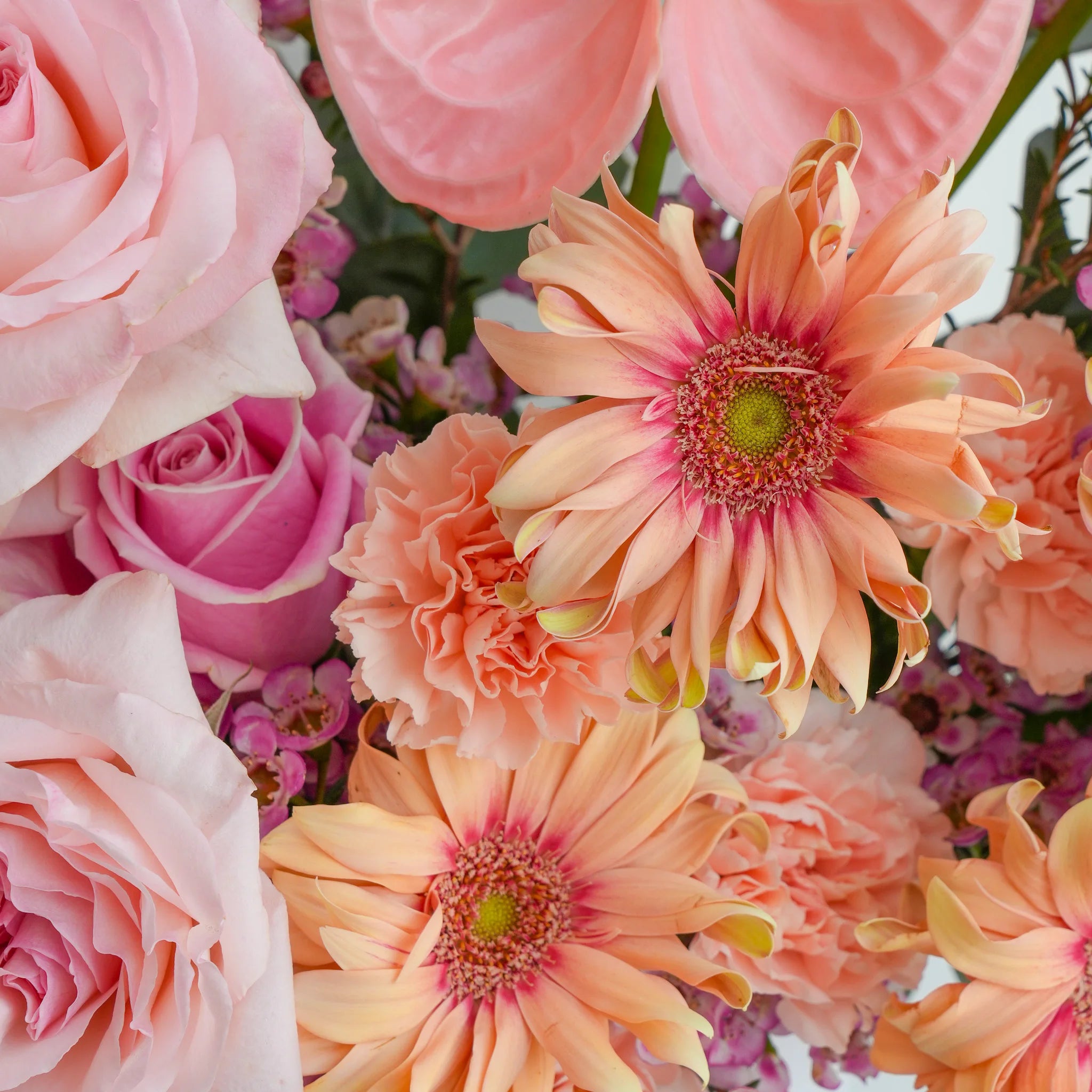 Fleuriste