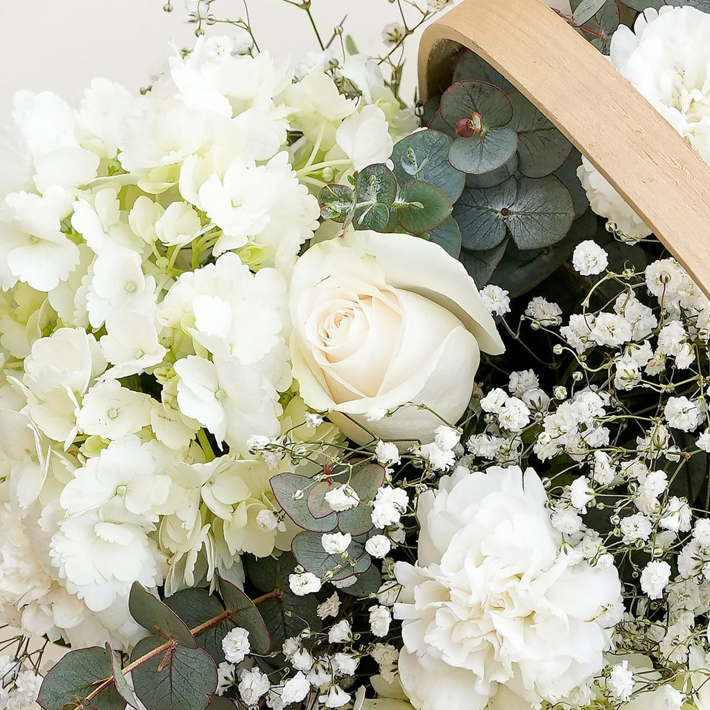 Les Fleurs de l'Espoir