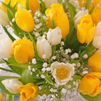 Easter Fleurs Mixed Tulip