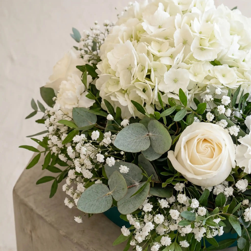 Espoir Posy