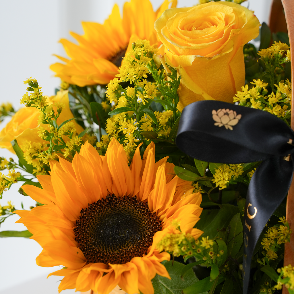 Fleurs Sunflower