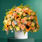 Golden Apricot