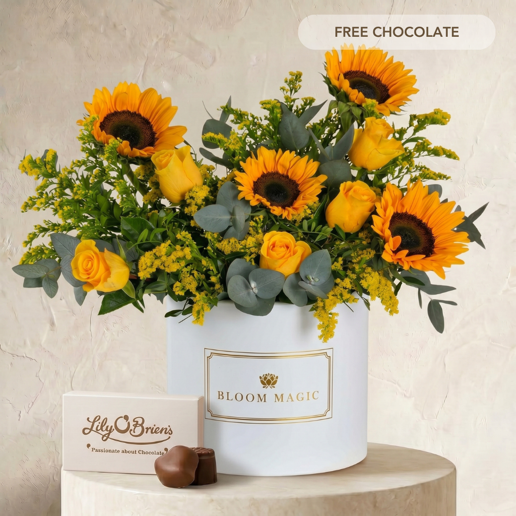 Fleurs Sunflower
