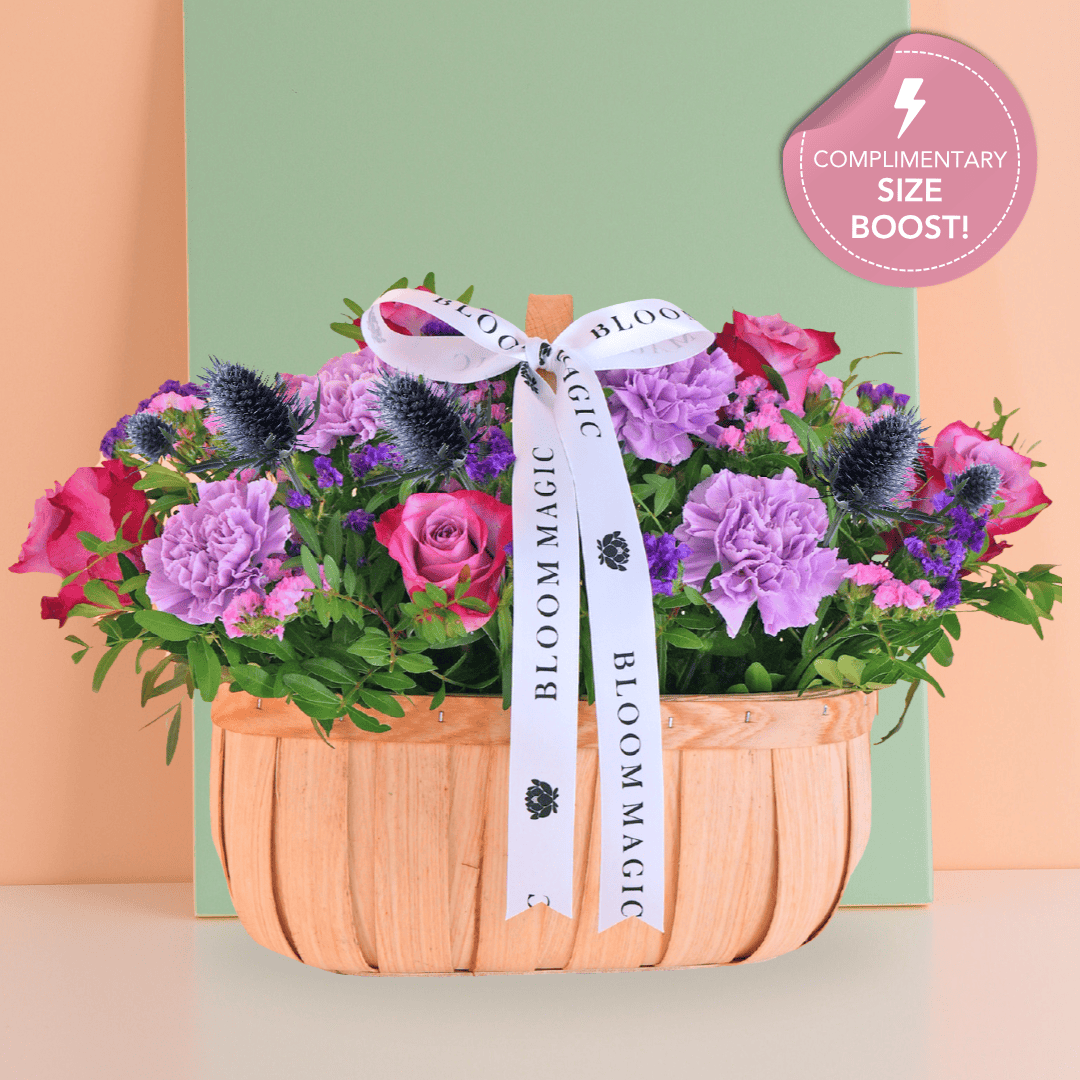 Lavender Les Fleurs Sauvages