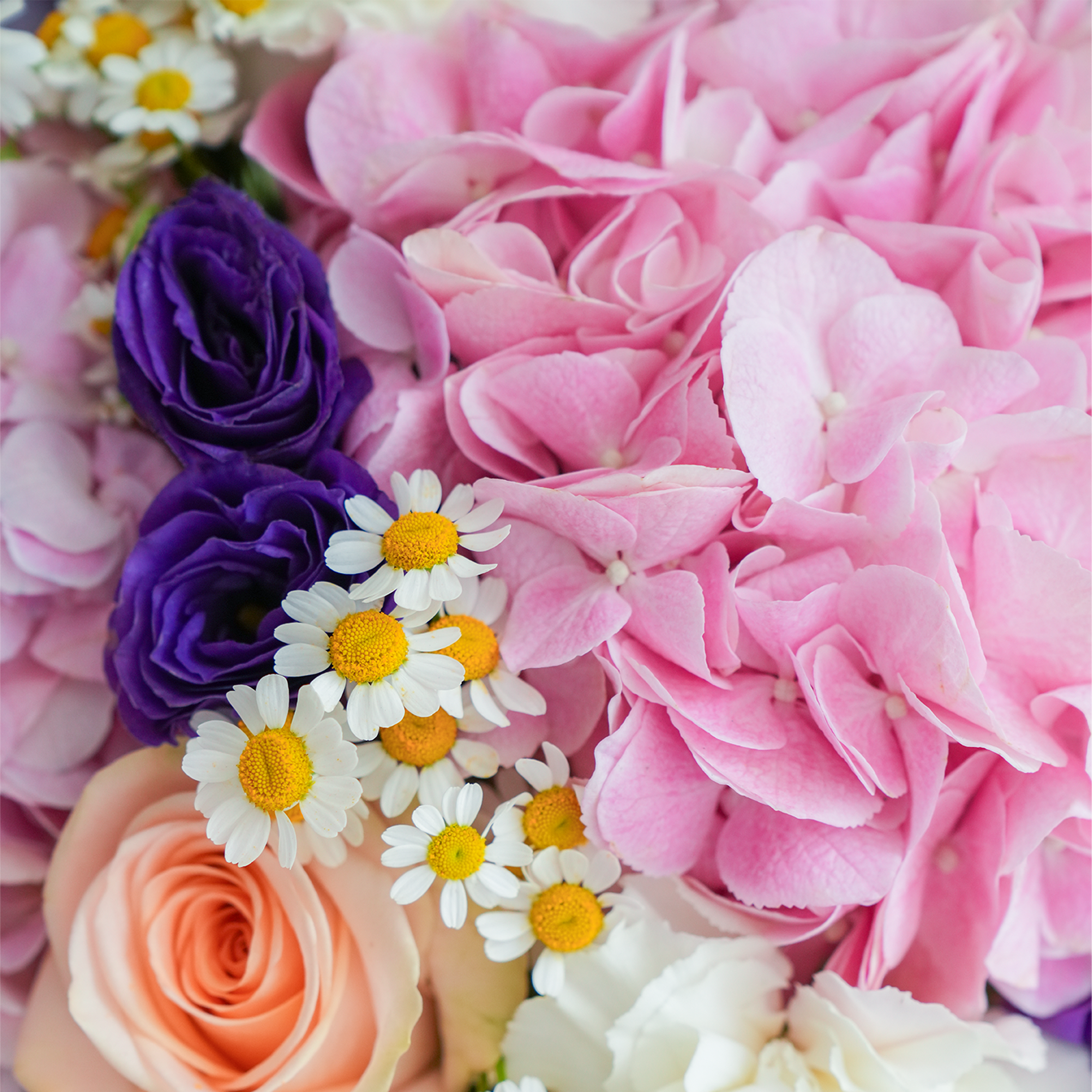 Enchanted Fleurs