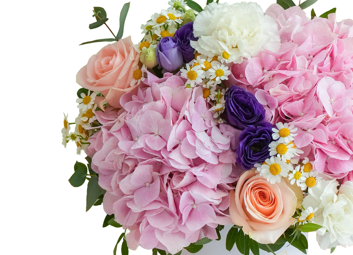 A vibrant floral bouquet featuring large pink hydrangeas, peach roses, white carnations, purple roses, and daisies with green foliage, isolated on a white background.